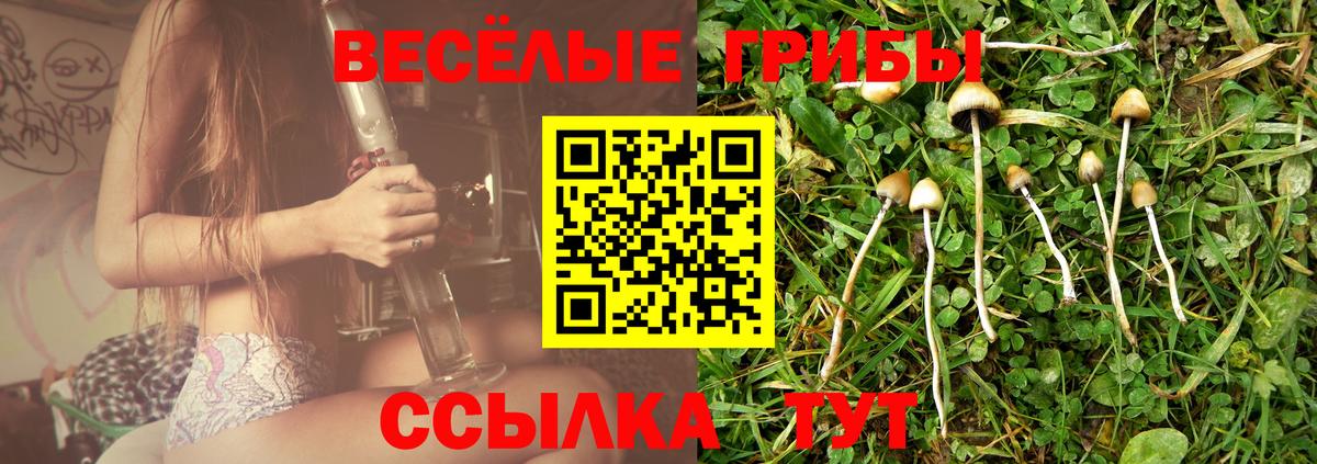 Псилоцибиновые грибы мицелий Прохладный