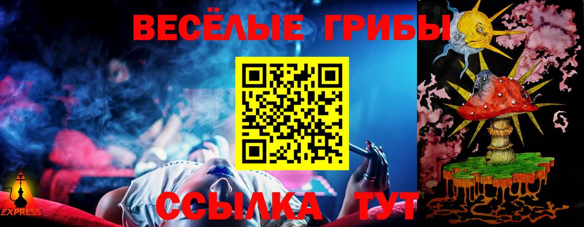 Прохладный  Галлюциногенные грибы Cubensis  Вход с VPN  Галлюциногенные грибы мухоморы 